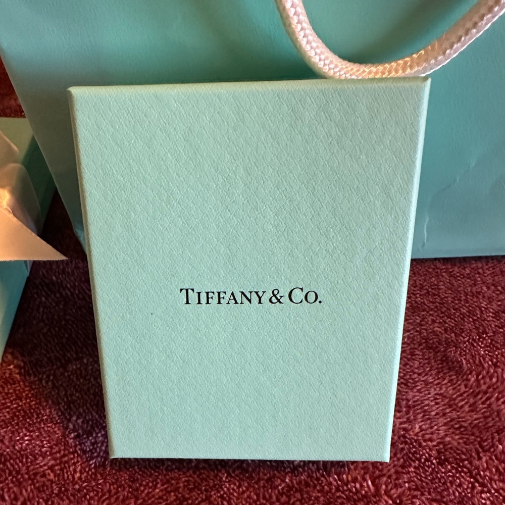 Tiffany & Co. Blue Gift Box